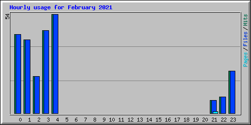 Hourly usage for February 2021
